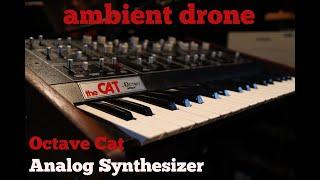 Octave Cat analog synthesizer ambient drone