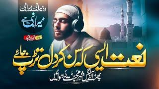 New Naat Sahrif 2024 - Wo Mera Nabi Mera Nabi Hai - Mohammad Bin Farhad - Peace Studio - Naat 2023