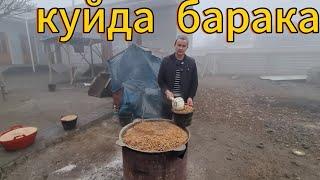 Куй бокиш сирлари арзон усулда.