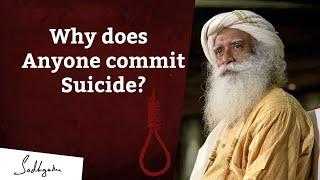 Why does anyone commit suicide? @sadhguru #ishayoga #innerengineering