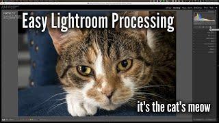 Easy Raw Photo Processing in LIGHTROOM