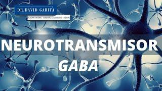 NEUROTRANSMISOR GABA ¿QUÉ ES Y CÓMO FUNCIONA?