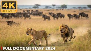 WILD SAVANNAH | The Strongest LION PRIDE | Nature Animal Documentary