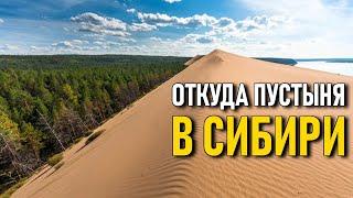 Пустыня в Сибири. Кто насыпал столько песка?