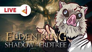 ( NG+4 ) LORD COME BACK DI 2024 !! ZERO DEATH ! - Elden Ring : Shadow of the Erdtree [Indonesia] #12