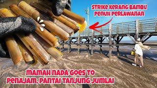 GAK NYANGKA‼️Nyebrang ke Penajam Pantai Tanjung Jumlai banyak kerang bambunya