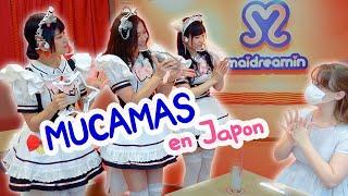 Visito un MAID CAFE en Akihabara y te lo muestro (MAIDREAMIN)  Colores de Japón