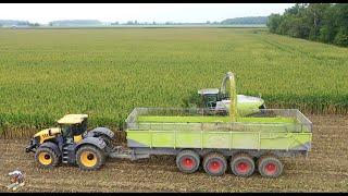 Eastside Dairy Corn Silage Harvest 2020