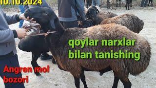 angren Mol bozori qoylar narxlar bilan tanishing 10.10.2024 #horse #qoyboqish #rek #qoybozor #baki