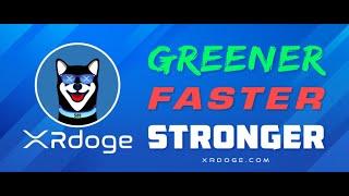 XRDoge Pumps 50% Today