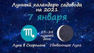 Календарь огородника на 7 января 2021 года. Лунный посевной календарь садовода | Флористикс Инфо