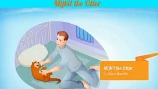 Mijbil the Otter By Gavin Maxwell - First Flight Class X English