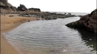 The Geology of the Copper Coast, County Waterford, Ireland.