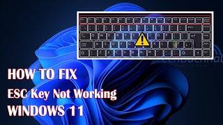 ESC Key Not Working In Windows 11 - 4 Fix How To