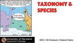 Lecture 10 Taxonomy & Species