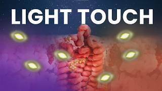 Where the Light Touches Your Eyes｜Phototransduction and Rhodopsin