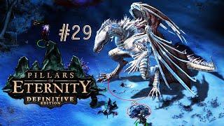 Высокогорный дракон  Pillars of Eternity White March DLC Прохождение игры #29