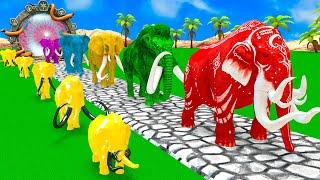 Long Slide Game With Elephant Gorilla Buffalo Hippopotamus Tiger 3d Animal Game Funny 3d Animals