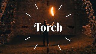 Torch Module - Foundry VTT - Quick Overview