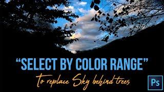 Color Range to Replace Sky Behind Trees in Photoshop