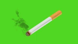 Cigarette Smoke overlay Effects Green Screen video Animation HD footage || Crazy Editor