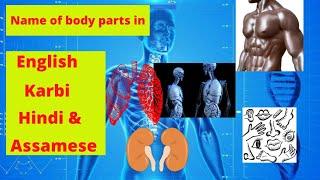 Name of  parts of human body  in karbi, English, Assamese and hindi part 1