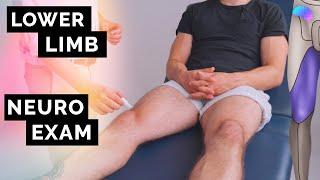 Lower Limb Neurological Examination | OSCE Guide | NEW | UKMLA | CPSA | PLAB 2