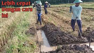 Cara membuat bedengan untuk di tanami Cabai/milon/bawang merah dan tanaman hortikultura lainnya