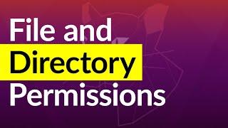 Linux File Permissions   Commands with Examples