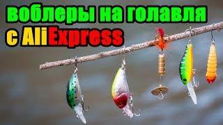 ВОБЛЕРЫ на ГОЛАВЛЯ с AliExpress. Распаковка и Тест.