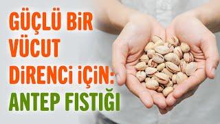 Antep Fıstığının Faydaları! | Faydalı Şeyler | Sağlıklı Yaşam Sırları