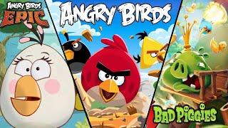 Can I beat Every Angry Birds game in one stream?