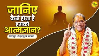 जानिए कैसे होता है हमको आत्मज्ञान? || जगद्गुरु श्री कृपालु जी महाराज प्रवचन