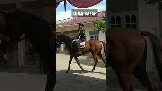 KUDA BALAP TERBAIK #viral #flip #racing