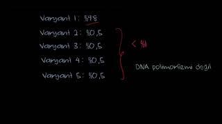 DNA Polimorfizmi (Biyoloji)