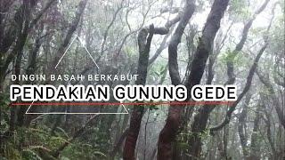 YANG GA KUAT DINGING MENDING JANGAN NAIK, PENDAKIAN GUNUNG GEDE via PUTRI 14.00 WIB