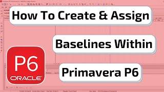 How to Create & Assign Baselines in Primavera P6