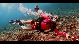 Komodo Diving is Wicked Diving - Explore Komodo with Wicked