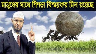 কুরআনে পিঁপড়া বিস্ময়কর রহস্যের কথা বলেছে ।। ডাঃ জাকির নায়েক