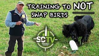 Gundog Training | Training to not swap birds, with Howard Kirby | S&C TV