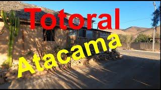 Totoral, a beautiful village near the coast in Atacama, Chile