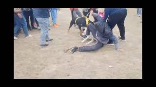 Rottweiler attack' Siberian Husky Fight !!! Dog Show