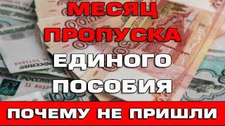 Месяц пропуска на Единое пособие Почему Единые пособия не пришли