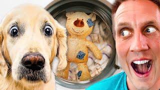 Extreme Try Not To Laugh at Funny Dogs Challenge | Rocky Kanaka