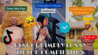 Cinderella, Three Little Pigs, etc. | Funny Videos of @Dimpey6 from TikTok ️