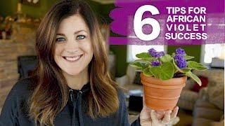 6 Tips For Caring for African Violets!