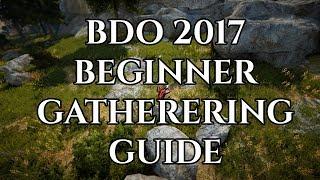 BDO 2017 Beginner Gathering Guide [Black Desert Online]