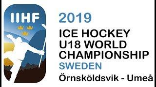 2019 IIHF Ice Hockey Women's World Championship | USA vs. Finland (Gold) | OT