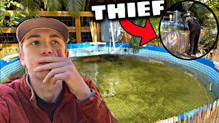 THIEF STOLE MY WHOLE FISH COLLECTION… (Caught On Camera)