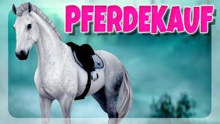 ICH KAUFE DEN NEUEN HANNOVERANER GENERATION 3  PFERDEKAUF  | Star Stable [SSO]